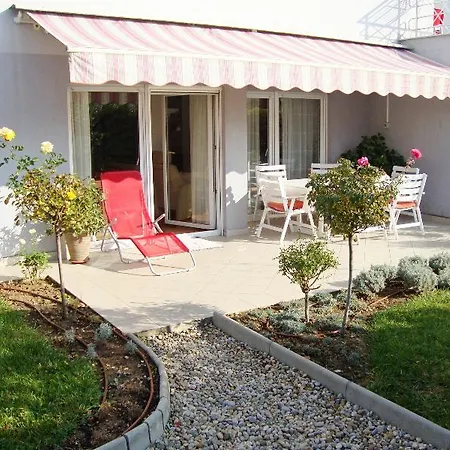 Bibic 3*